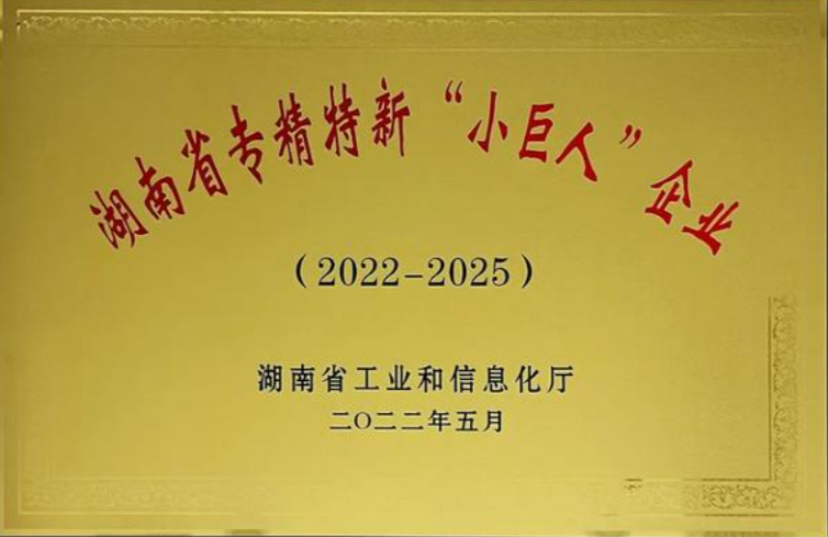 强视信息荣获湖南省专精特新中小企业（小巨人）资格