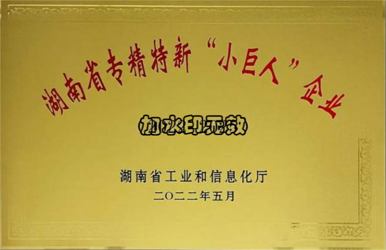 强视信息荣获湖南省专精特新中小企业（小巨人）资格