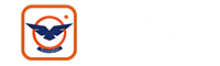 湖南强视信息科技有限公司logo